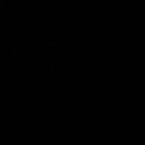 Meet your Posher, Drew